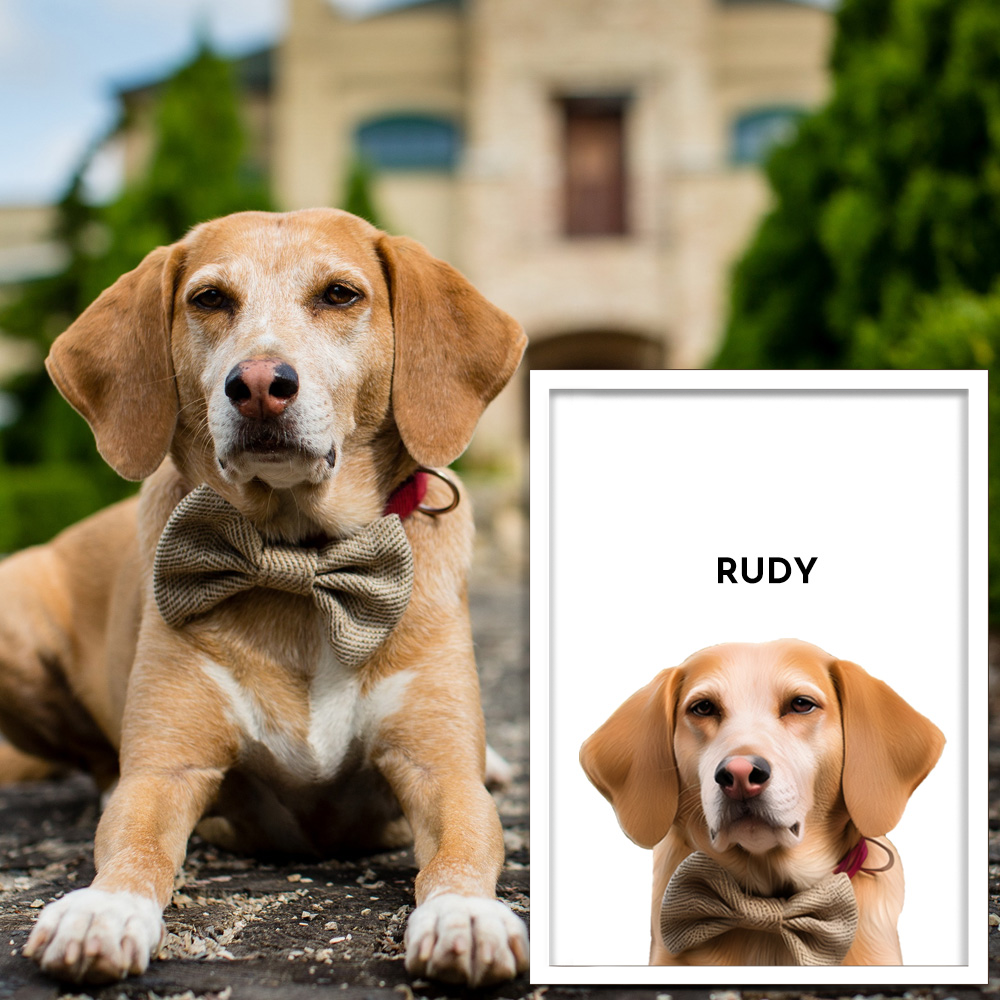 Capture Puppy Love: Custom One Pet Portrait that Celebrates Your Furry Friend