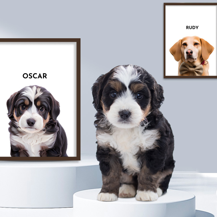 Why Choose Custom Pet Portraits?