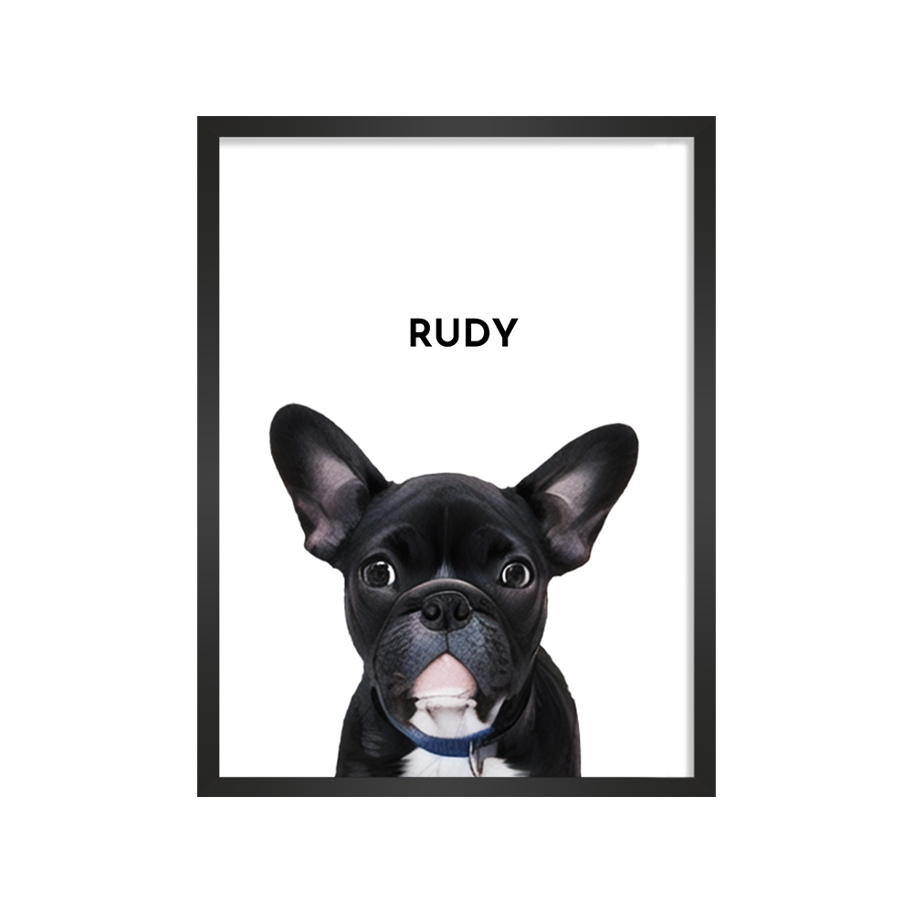 Create Your Pet Portrait