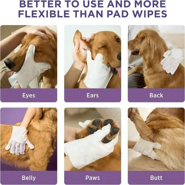 Deodorizing Pet Glove Wipes For Dogs（6Pcs）