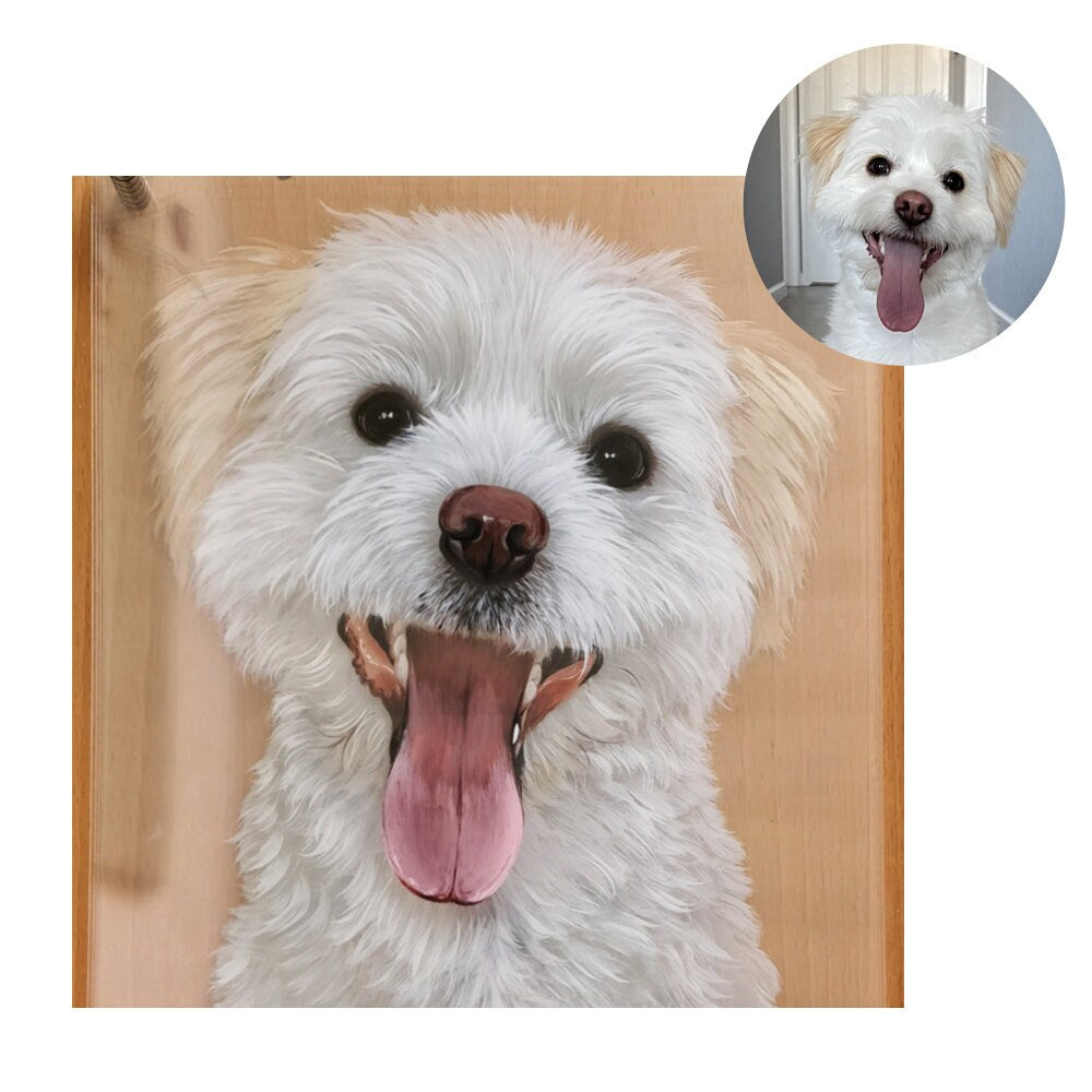 Hand-Painted Muti-Layers 3D Pet Acrylic Painting